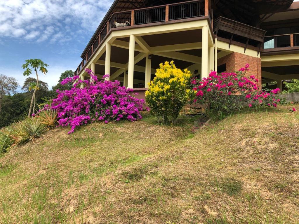 Billion Views Khaosok Homestay Khao Sok National Park Exterior photo
